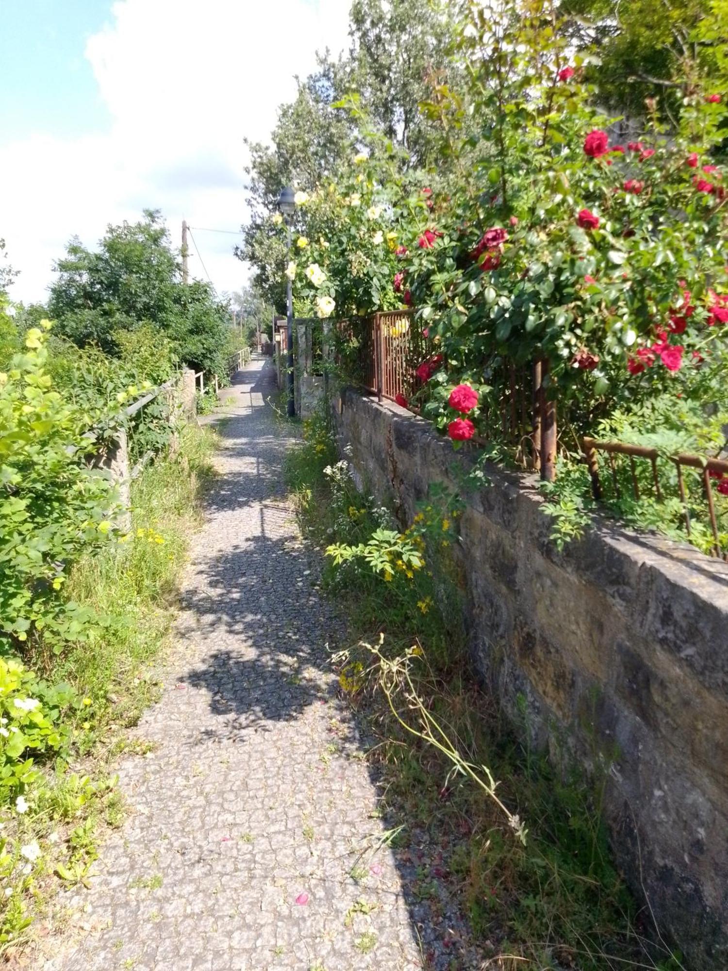 Dresden-Entspannung-Natur-Trifft-2-Staedte-Am-Fluss Exterior foto